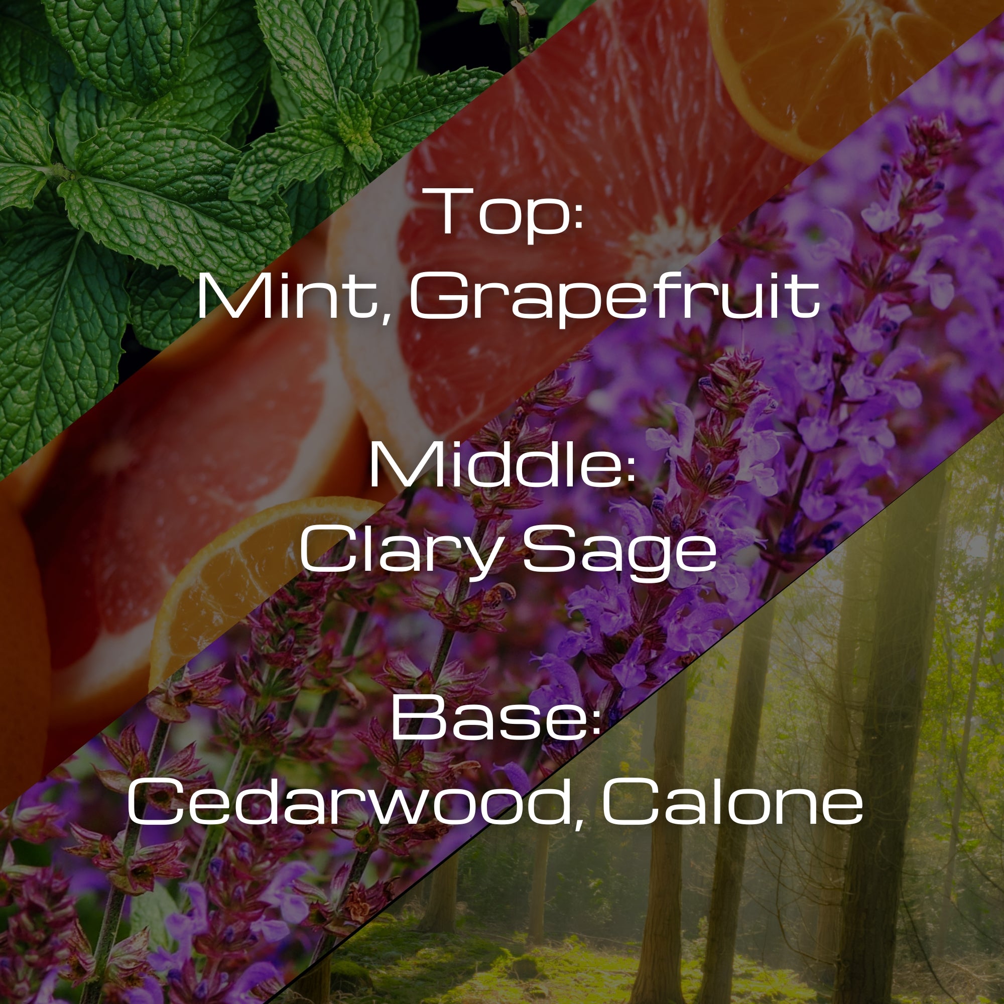 perfume oils uk